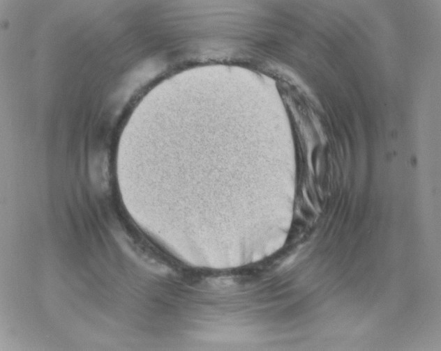 X0000077380588200611172016