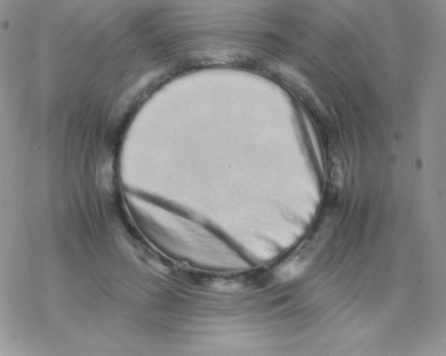 X0000077380596200611172016