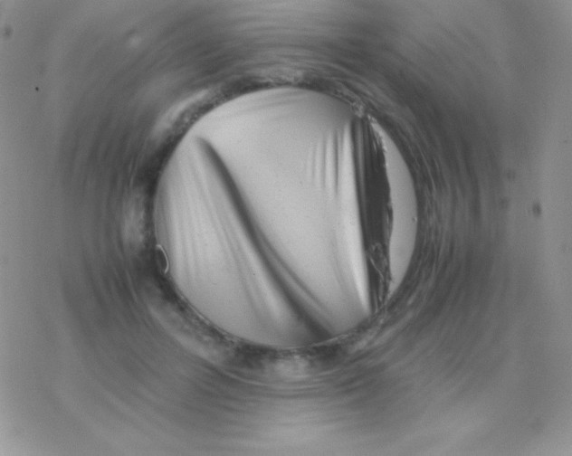 X0000077380600200611172016