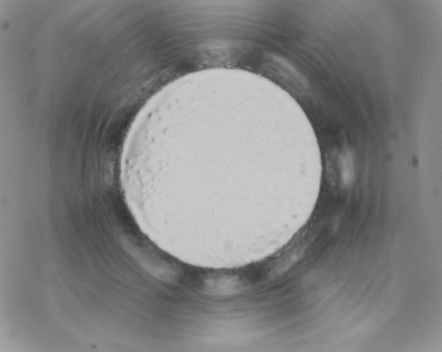 X0000077380602200611172016