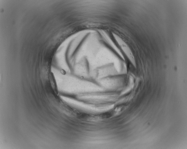X0000077380604200611172016