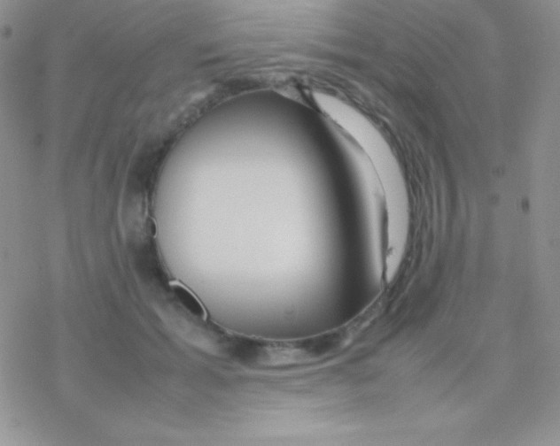 X0000077380605200611172016