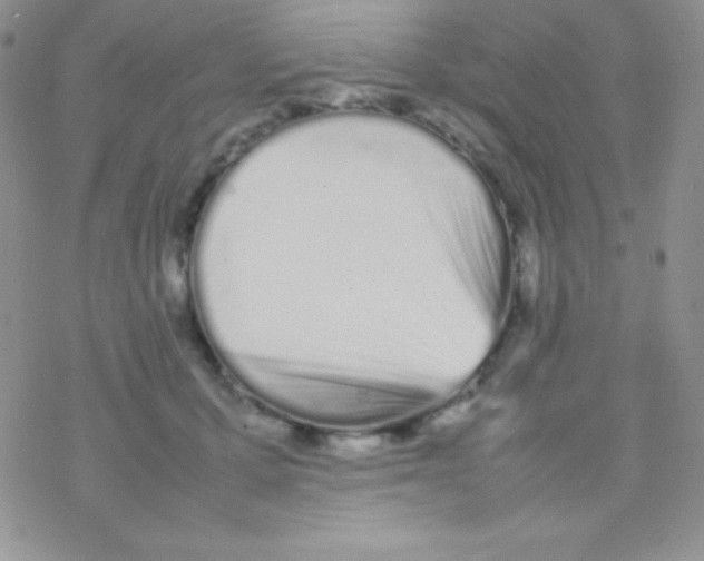 X0000077380607200611172016
