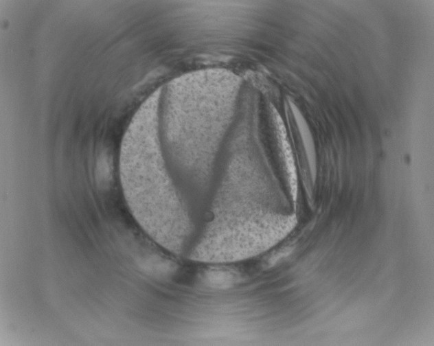 X0000077380608200611172016