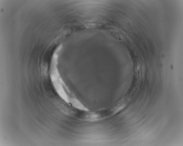 X0000077380610200611172016