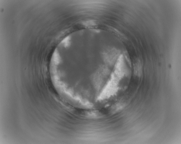 X0000077380618200611172015