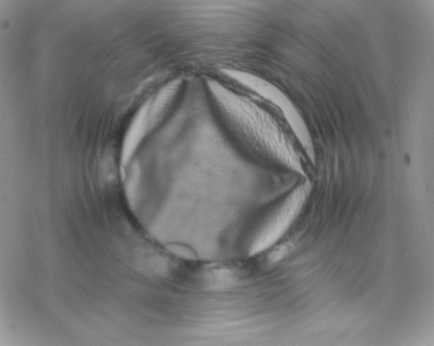 X0000077380620200611172015
