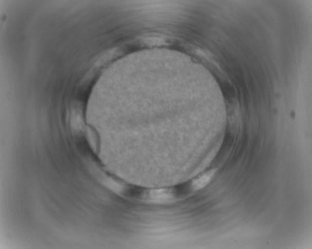 X0000077380622200611172015