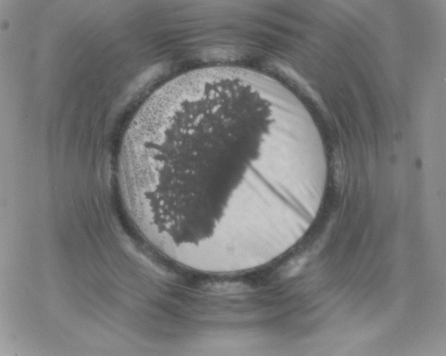 X0000077380637200611172015