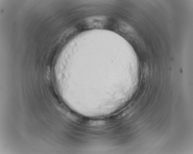 X0000077380649200611172015