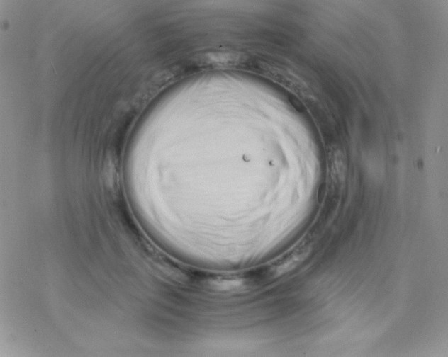 X0000077380651200611172015