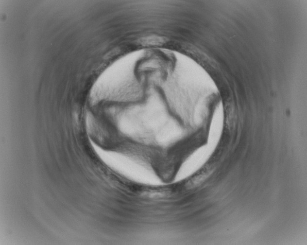 X0000077380655200611172015