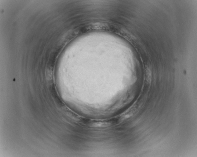 X0000077380657200611172015