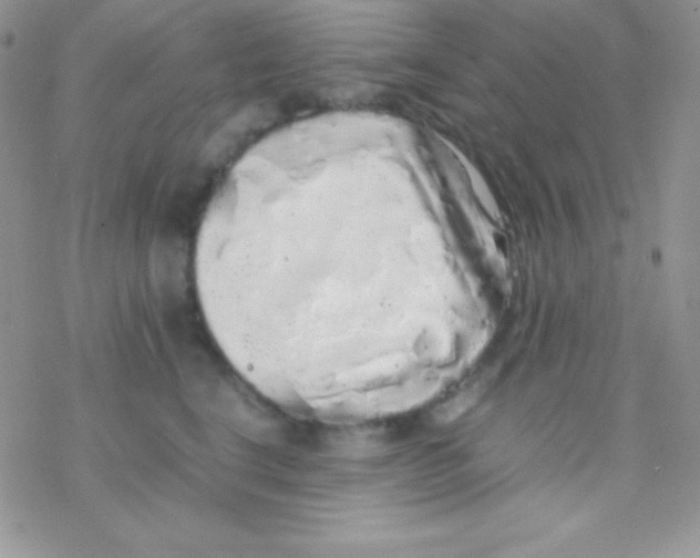 X0000077380664200611172015