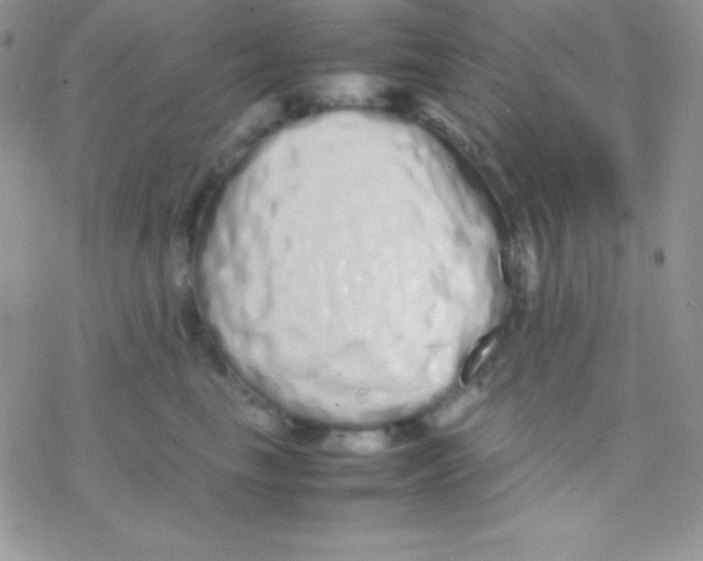 X0000077380665200611172015