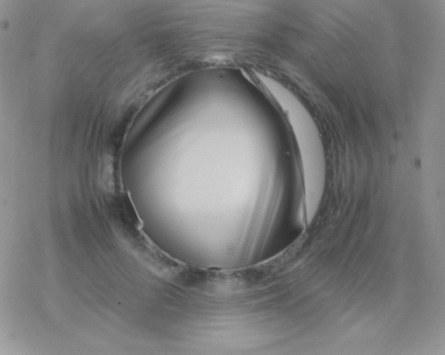 X0000077380696200611172014