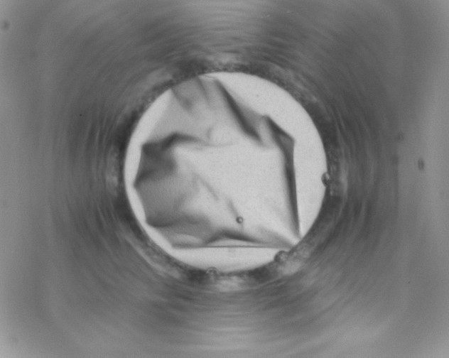 X0000077380710200611172014
