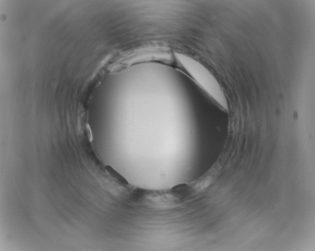 X0000077380712200611172014