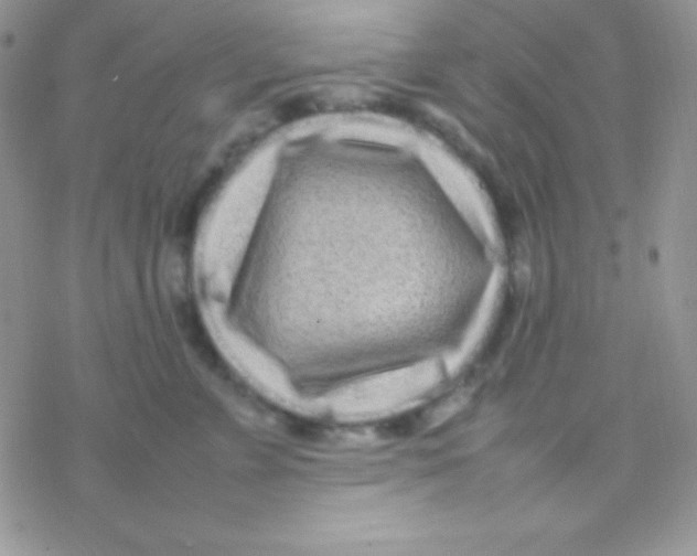 X0000077380715200611172014