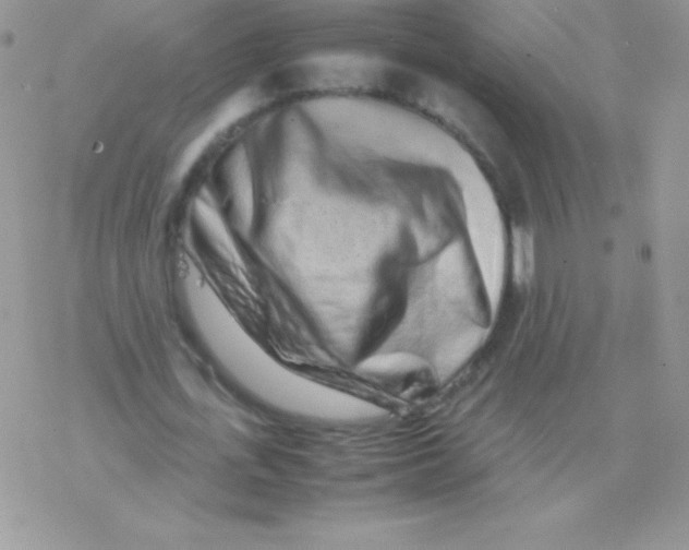 X0000077380723200611172013