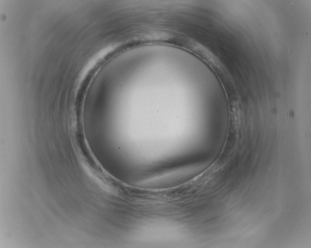 X0000077380726200611172013