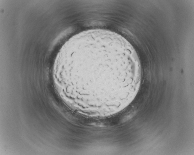 X0000077380735200611172013