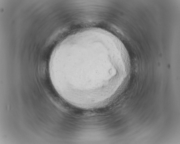 X0000077380742200611172013