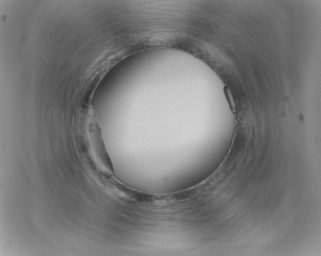X0000077380744200611172013