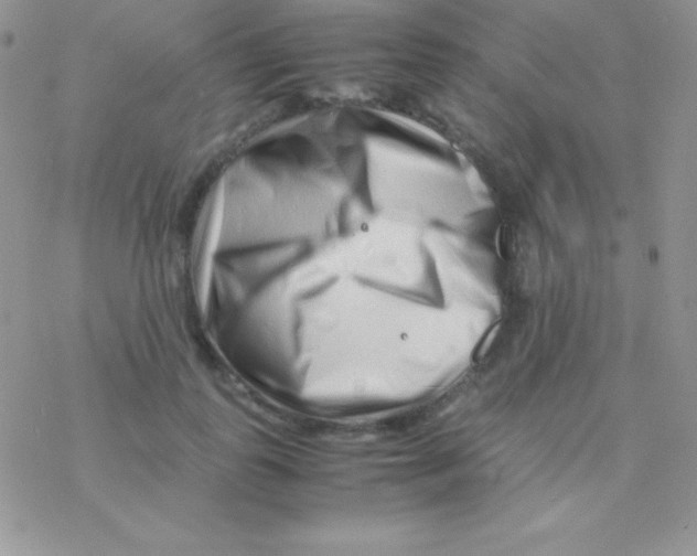 X0000077380747200611172013