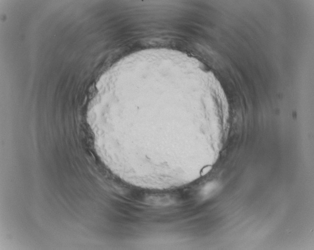 X0000077380749200611172013