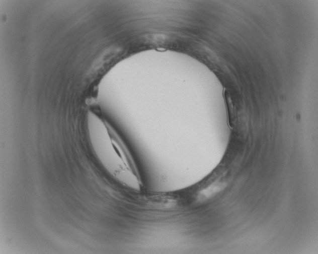 X0000077380750200611172013