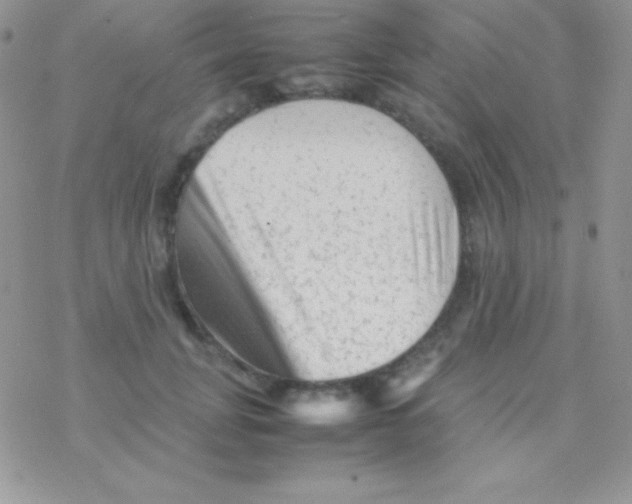 X0000077380751200611172013