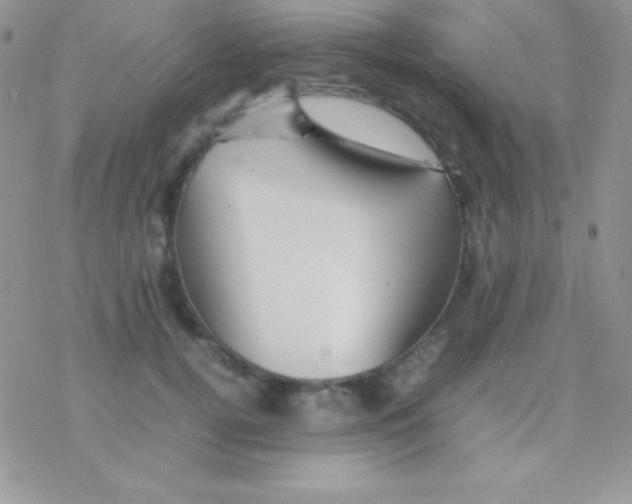 X0000077380752200611172014