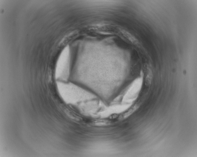 X0000077380758200611172014