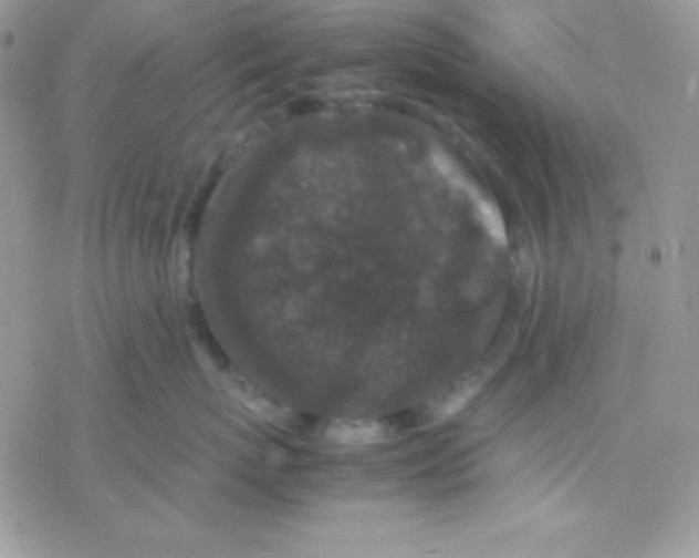 X0000077380767200611172014