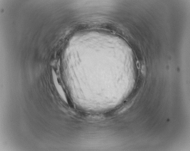X0000077380771200611172013