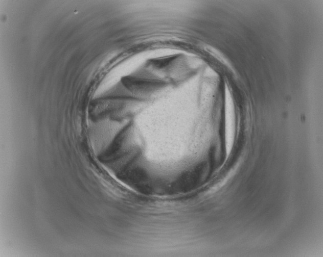 X0000077380777200611172013