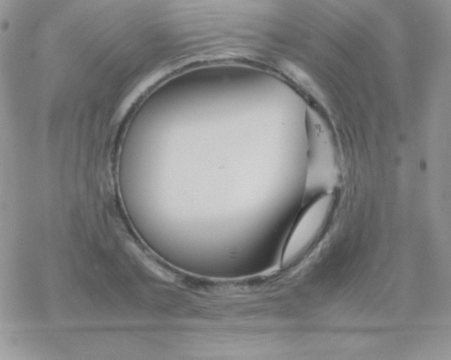 X0000077380789200611172013