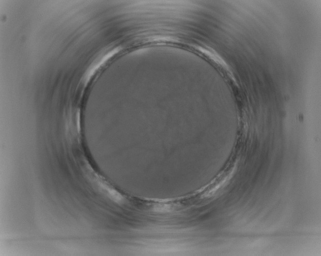 X0000077380790200611172013