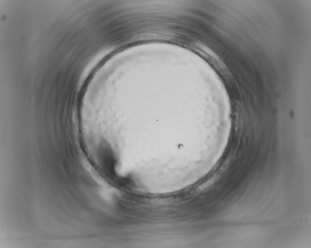 X0000077380796200611172013