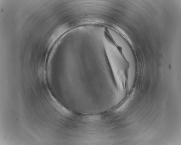 X0000077380802200611172012