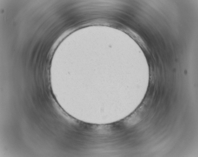 X0000077380808200611172012