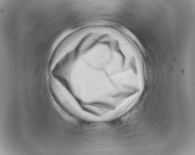 X0000077380811200611172012