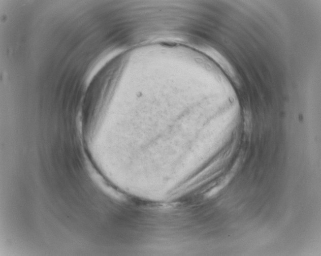 X0000077380814200611172012