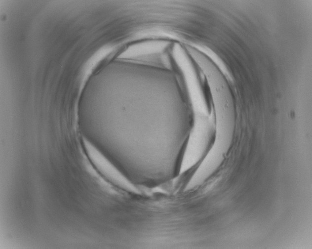 X0000077380815200611172012