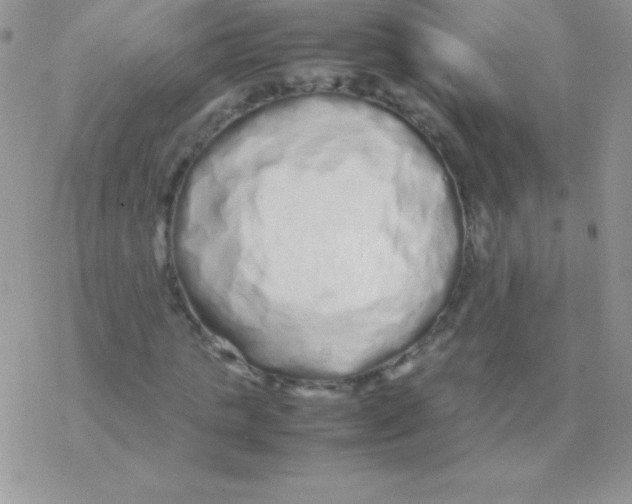 X0000077380821200611172011