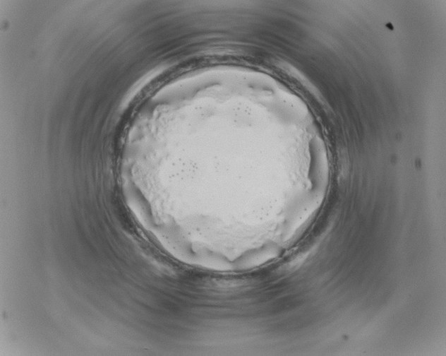 X0000077380829200611172012