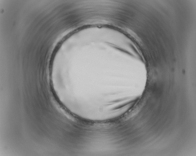 X0000077380840200611172012