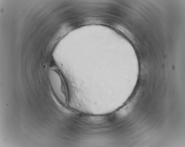 X0000077380849200611172012