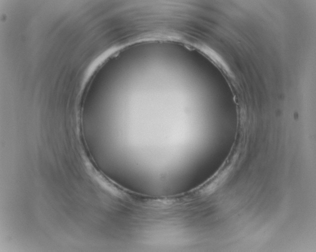 X0000077380854200611172012